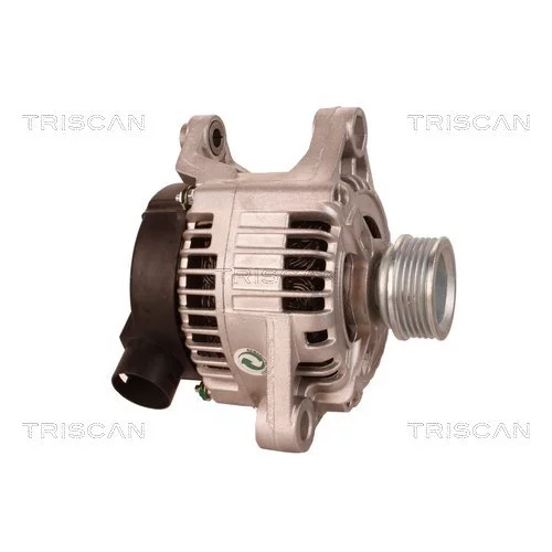Alternátor 8310 29051 /TRISCAN/ - obr. 3