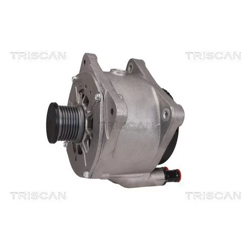 Alternátor 8310 29052 /TRISCAN/ - obr. 6