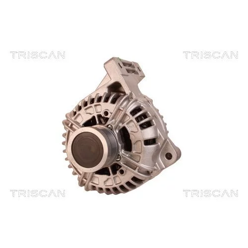 Alternátor 8310 29057 /TRISCAN/ - obr. 5