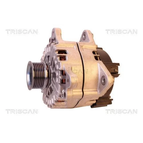 Alternátor 8310 29060 /TRISCAN/ - obr. 6