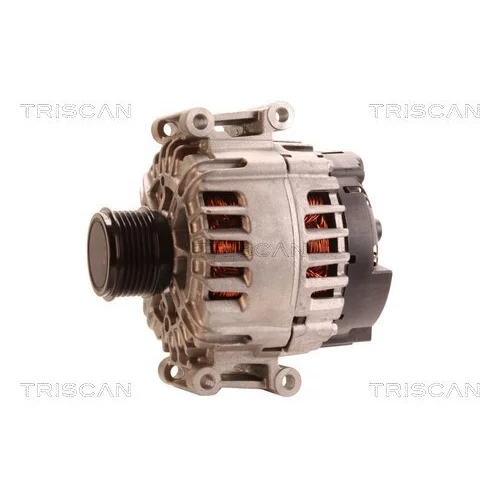 Alternátor 8310 29063 /TRISCAN/ - obr. 6