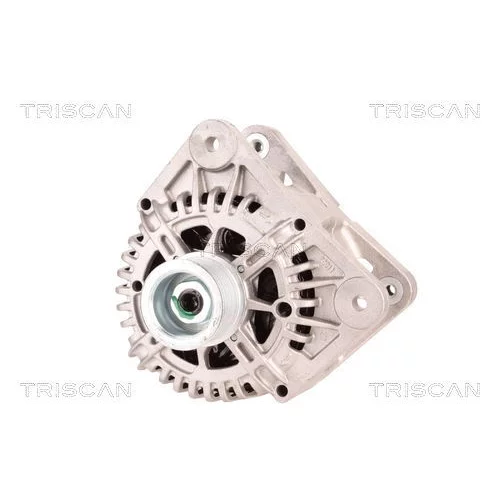 Alternátor 8310 68005 /TRISCAN/ - obr. 5