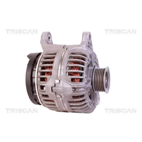 Alternátor 8310 68006 /TRISCAN/ - obr. 3