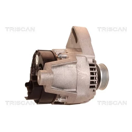 Alternátor 8310 68008 /TRISCAN/ - obr. 2