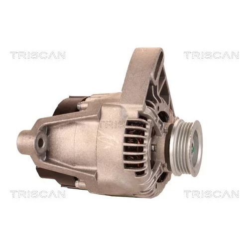 Alternátor 8310 68008 /TRISCAN/ - obr. 3