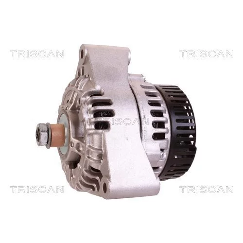 Alternátor 8310 69013 /TRISCAN/ - obr. 6