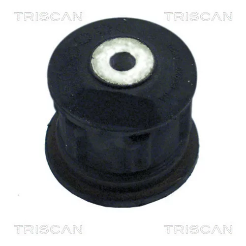 Uloženie tela nápravy TRISCAN 8500 16815