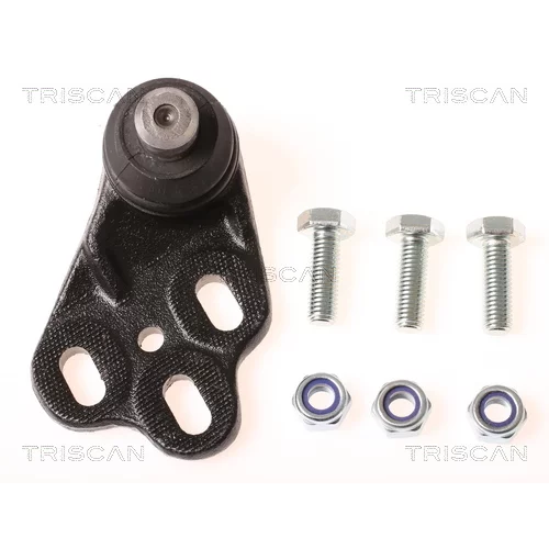 Zvislý/nosný čap TRISCAN 8500 29509