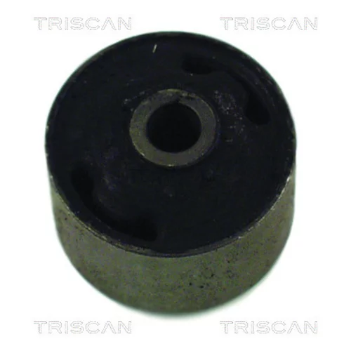 Uloženie tela nápravy TRISCAN 8500 29801