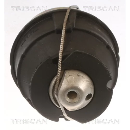 Uloženie motora 8505 27103 /TRISCAN/ - obr. 1
