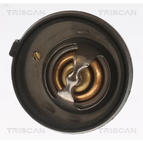 Termostat chladenia 8620 12191 /TRISCAN/ - obr. 1