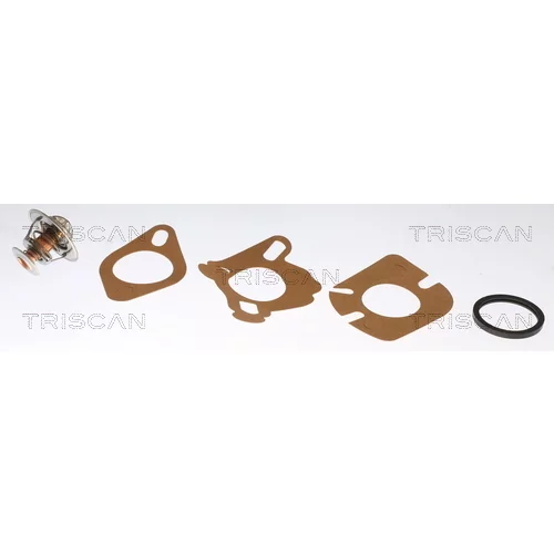Termostat chladenia TRISCAN 8620 2191