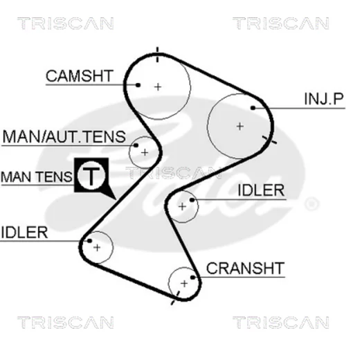 Ozubený remeň TRISCAN 8645 5561xs