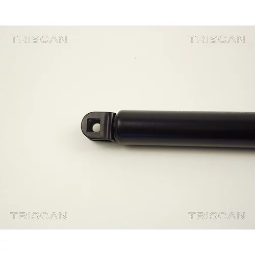 Pneumatická pružina, Batožinový/nákladný priestor 8710 13229 /TRISCAN/ - obr. 1