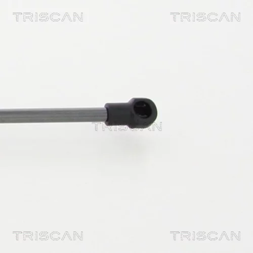 Pneumatická pružina, Batožinový/nákladný priestor 8710 13276 /TRISCAN/ - obr. 1