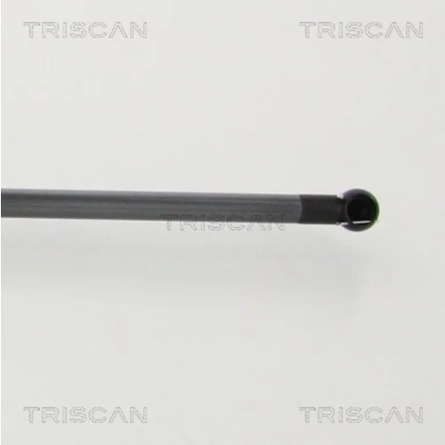 Pneumatická pružina, Batožinový/nákladný priestor 8710 13293 /TRISCAN/ - obr. 1