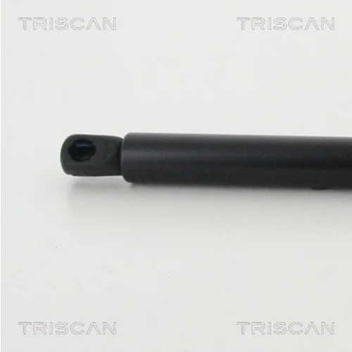 Pneumatická pružina, Batožinový/nákladný priestor 8710 13293 /TRISCAN/ - obr. 2