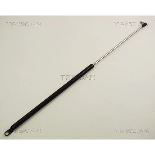 Pneumatická pružina, Batožinový/nákladný priestor TRISCAN 8710 14210