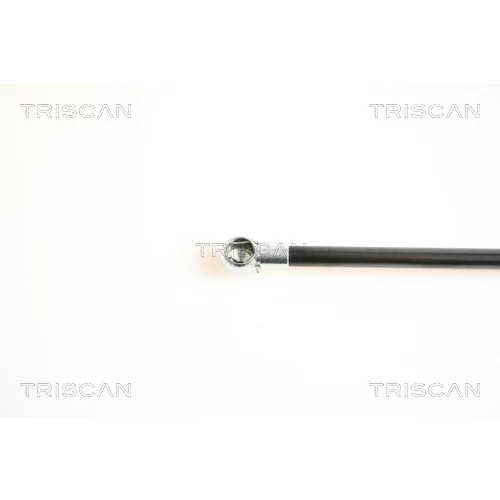 Pneumatická pružina, Batožinový/nákladný priestor 8710 14234 /TRISCAN/ - obr. 2