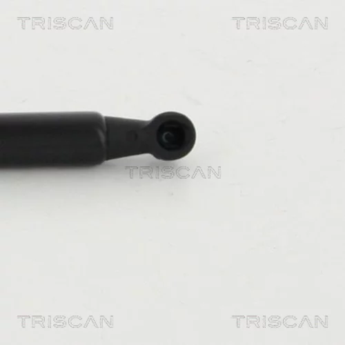 Pneumatická pružina, Batožinový/nákladný priestor 8710 16265 /TRISCAN/ - obr. 2
