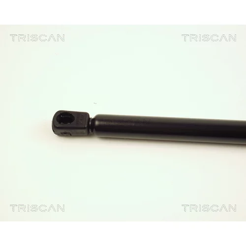 Pneumatická pružina, Batožinový/nákladný priestor 8710 28209 /TRISCAN/ - obr. 1