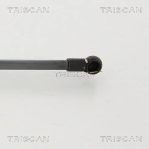 Pneumatická pružina, Batožinový/nákladný priestor 8710 40229 /TRISCAN/ - obr. 2