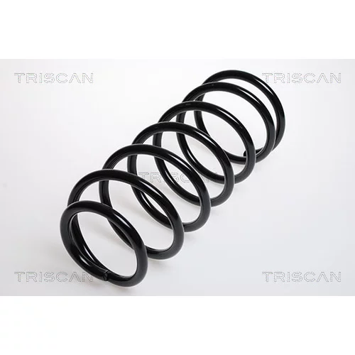 Pružina podvozku TRISCAN 8750 24003