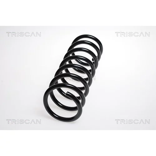 Pružina podvozku TRISCAN 8750 2771
