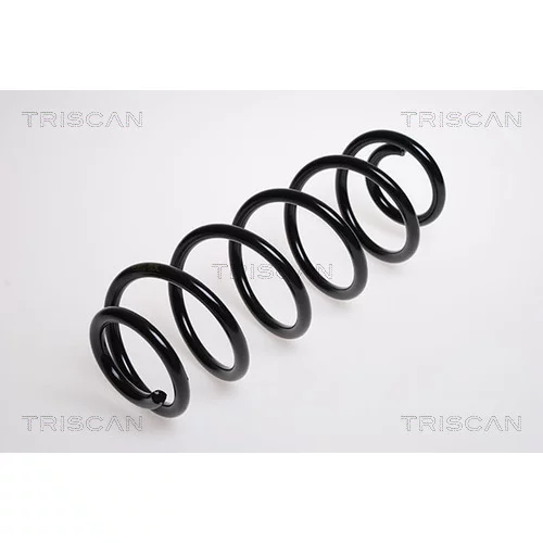 Pružina podvozku TRISCAN 8750 29079