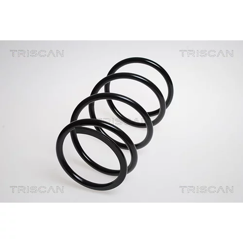 Pružina podvozku TRISCAN 8750 6828