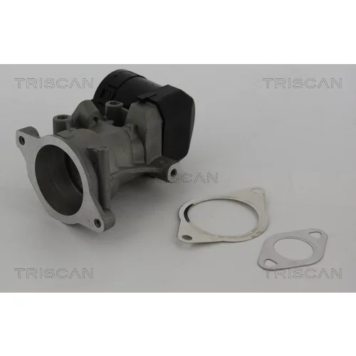 EGR ventil 8813 10001 /TRISCAN/ - obr. 2