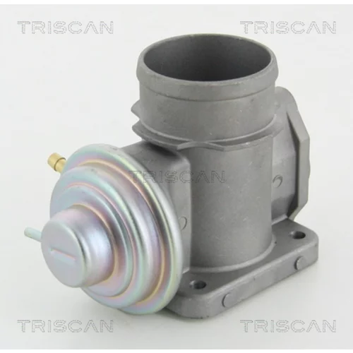 EGR ventil 8813 10101 /TRISCAN/