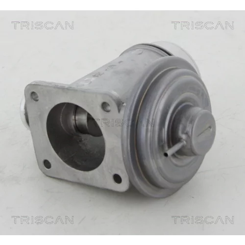 EGR ventil 8813 11102 /TRISCAN/ - obr. 2