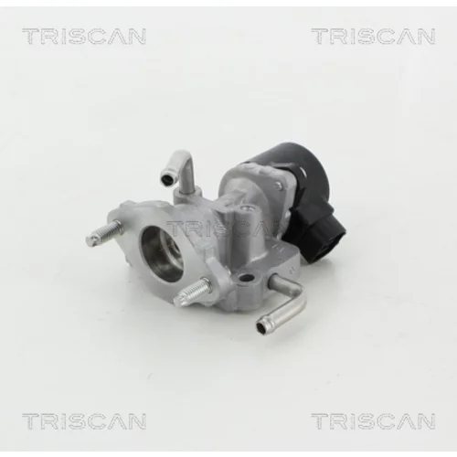 EGR ventil TRISCAN 8813 13059