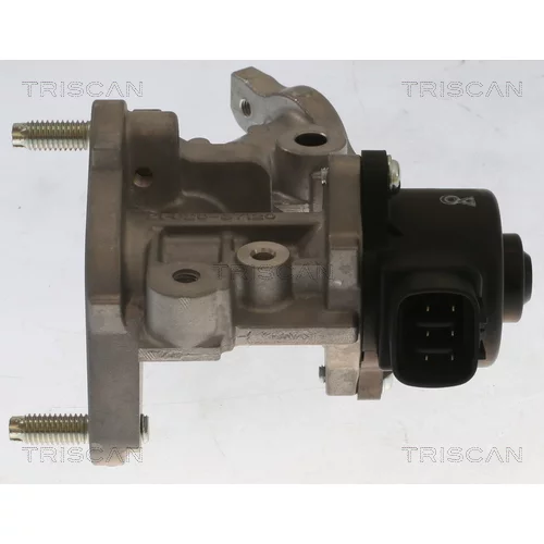 EGR ventil 8813 13067 /TRISCAN/ - obr. 1