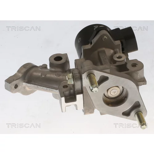 EGR ventil 8813 13067 /TRISCAN/ - obr. 2