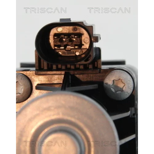 EGR ventil 8813 16036 /TRISCAN/ - obr. 1