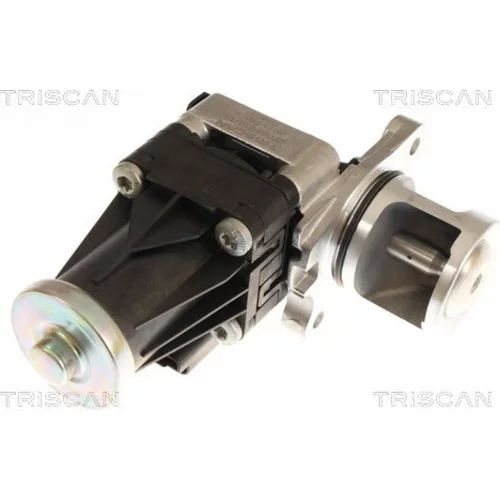EGR ventil TRISCAN 8813 16074