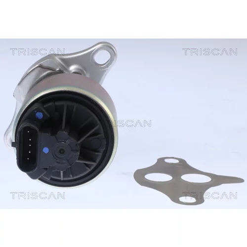 EGR ventil 8813 21001 /TRISCAN/ - obr. 1