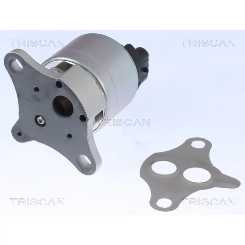EGR ventil 8813 21001 /TRISCAN/ - obr. 2