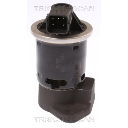 EGR ventil 8813 21004 /TRISCAN/ - obr. 1