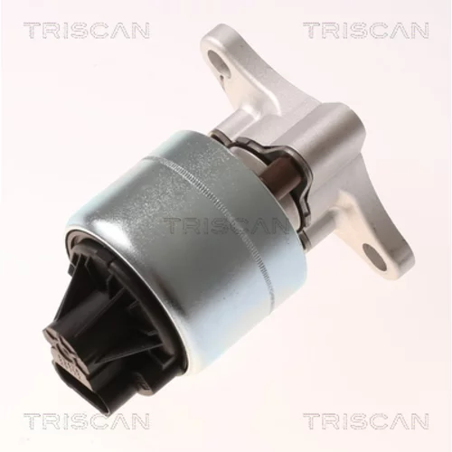 EGR ventil TRISCAN 8813 21026