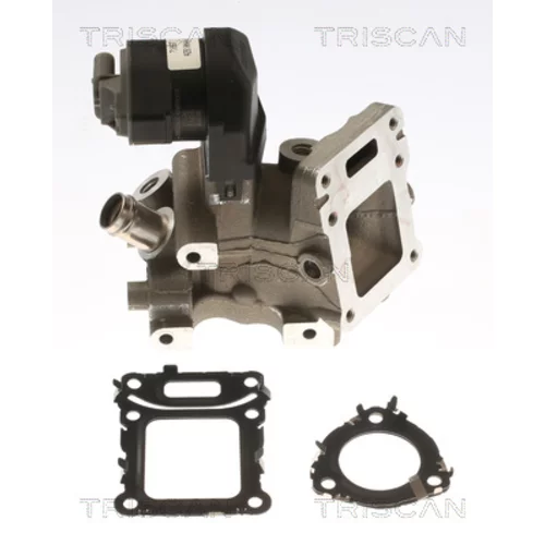 EGR ventil TRISCAN 8813 23043