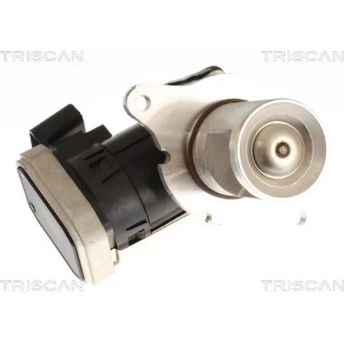 EGR ventil TRISCAN 8813 23045
