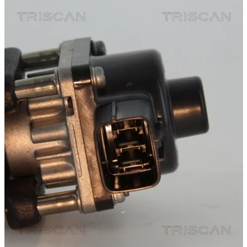 EGR ventil 8813 24033 /TRISCAN/ - obr. 1