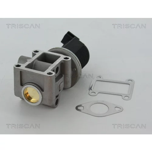EGR ventil TRISCAN 8813 24082