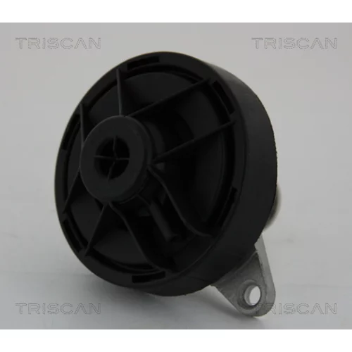 EGR ventil 8813 24202 /TRISCAN/ - obr. 1