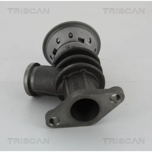 EGR ventil 8813 28100 /TRISCAN/ - obr. 2