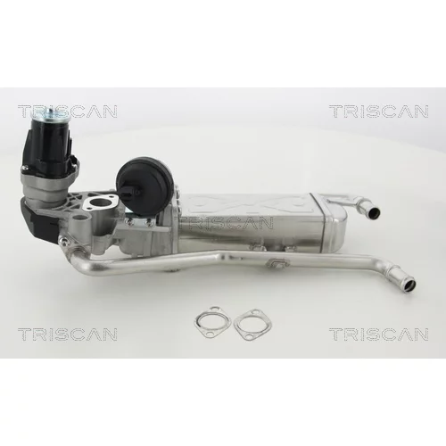 EGR ventil TRISCAN 8813 29330