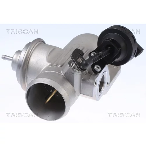 EGR ventil 8813 29342 /TRISCAN/ - obr. 2